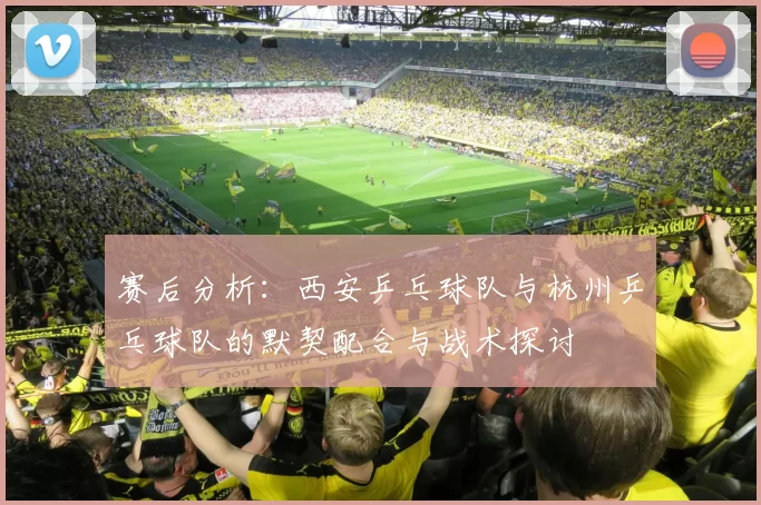 赛后分析：西安乒乓球队与杭州乒乓球队的默契配合与战术探讨