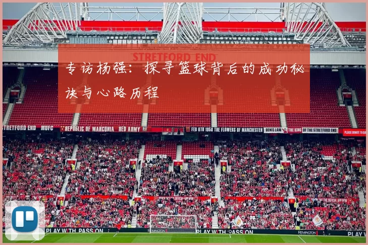专访杨强：探寻篮球背后的成功秘诀与心路历程