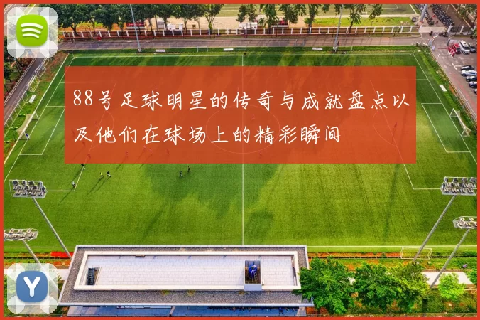 88号足球明星的传奇与成就盘点以及他们在球场上的精彩瞬间