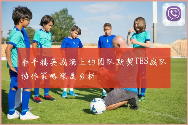 和平精英战场上的团队默契TES战队协作策略深度分析
