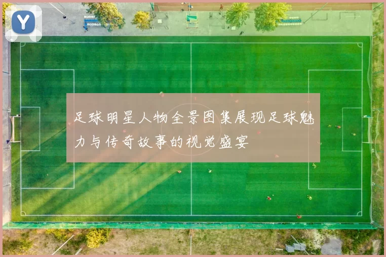 足球明星人物全景图集展现足球魅力与传奇故事的视觉盛宴