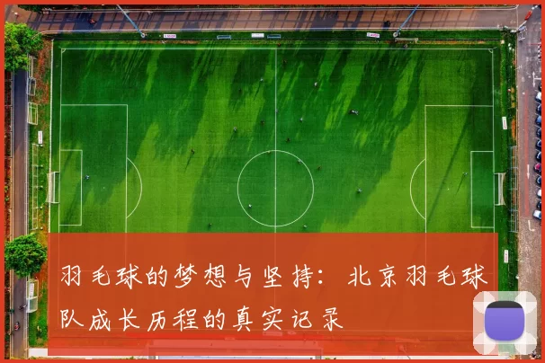 羽毛球的梦想与坚持：北京羽毛球队成长历程的真实记录