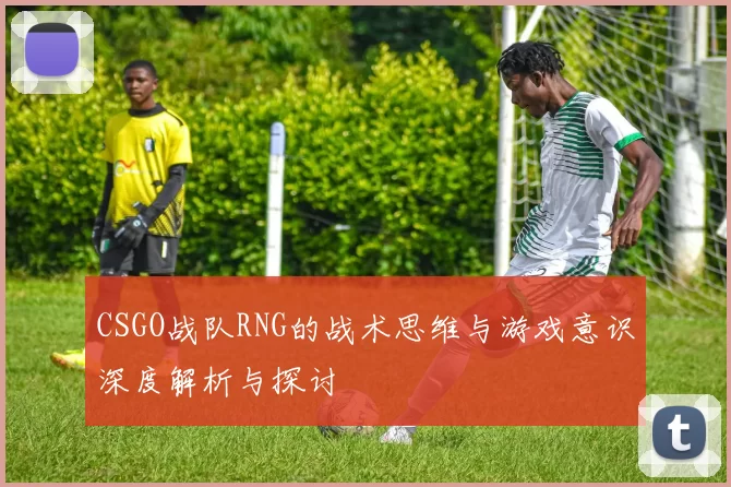 CSGO战队RNG的战术思维与游戏意识深度解析与探讨