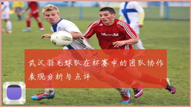 武汉羽毛球队在杯赛中的团队协作表现分析与点评