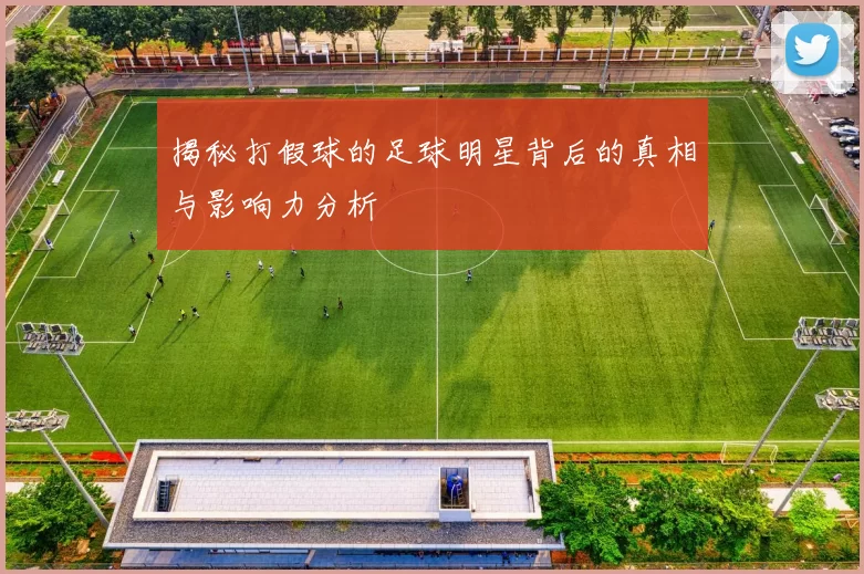 揭秘打假球的足球明星背后的真相与影响力分析