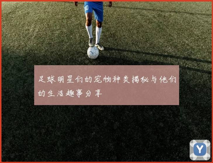 足球明星们的宠物种类揭秘与他们的生活趣事分享
