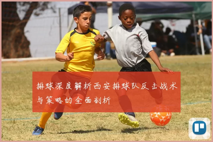 排球深度解析西安排球队反击战术与策略的全面剖析