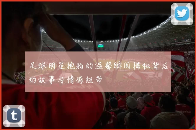 足球明星抱狗的温馨瞬间揭秘背后的故事与情感纽带