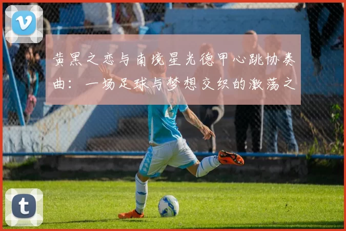 黄黑之恋与南境星光德甲心跳协奏曲：一场足球与梦想交织的激荡之旅