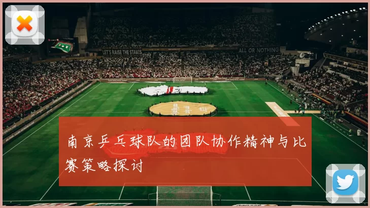 南京乒乓球队的团队协作精神与比赛策略探讨