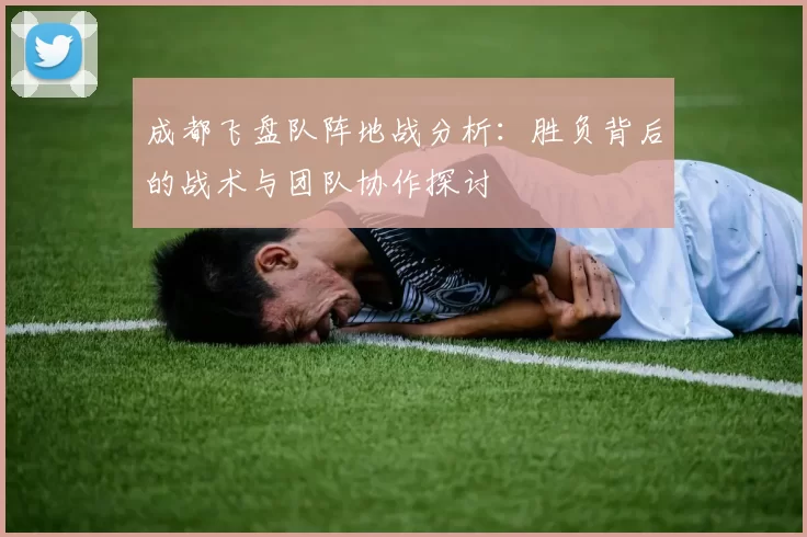 成都飞盘队阵地战分析：胜负背后的战术与团队协作探讨