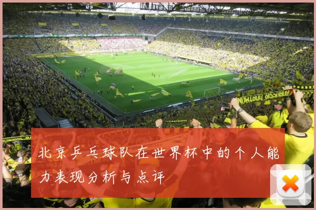 北京乒乓球队在世界杯中的个人能力表现分析与点评