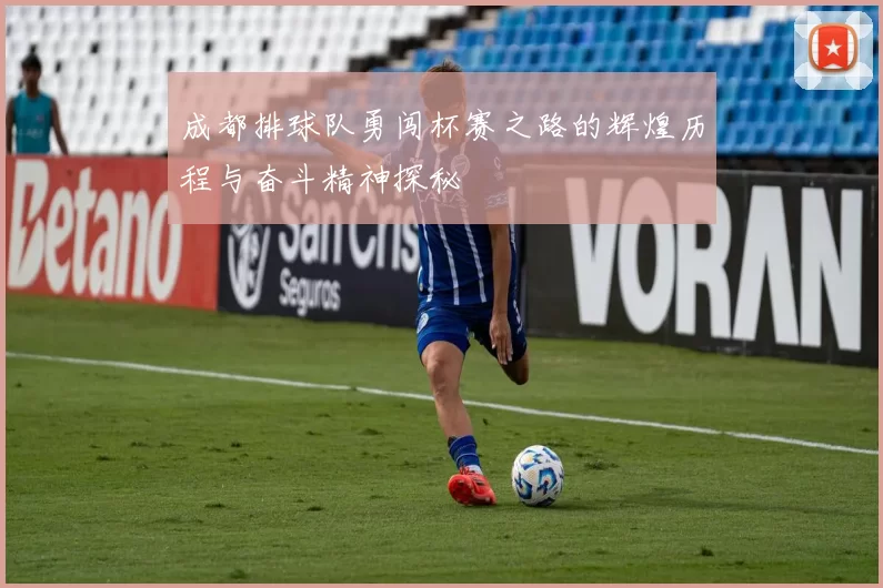 成都排球队勇闯杯赛之路的辉煌历程与奋斗精神探秘