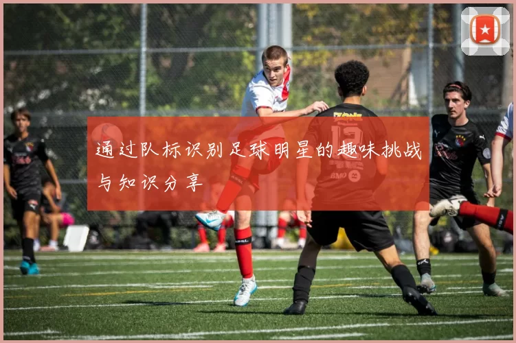 通过队标识别足球明星的趣味挑战与知识分享