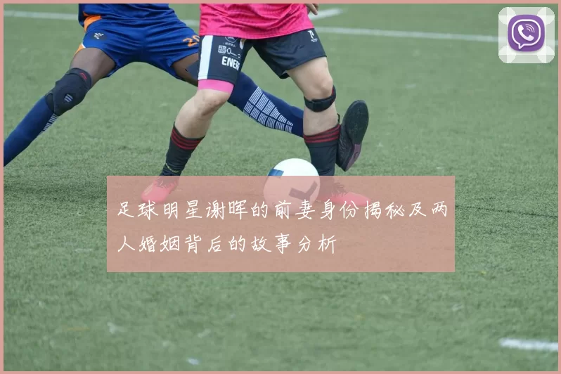 足球明星谢晖的前妻身份揭秘及两人婚姻背后的故事分析