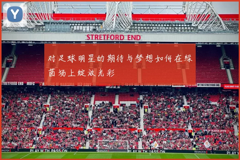 对足球明星的期待与梦想如何在绿茵场上绽放光彩