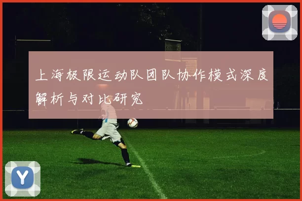 上海极限运动队团队协作模式深度解析与对比研究