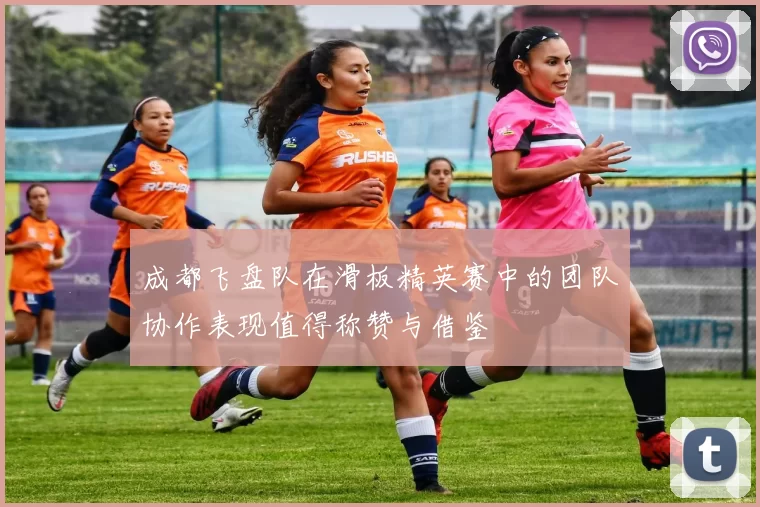 成都飞盘队在滑板精英赛中的团队协作表现值得称赞与借鉴