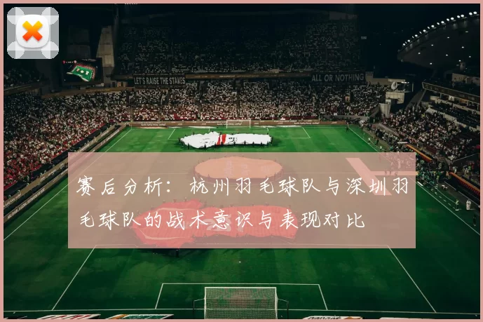 赛后分析：杭州羽毛球队与深圳羽毛球队的战术意识与表现对比