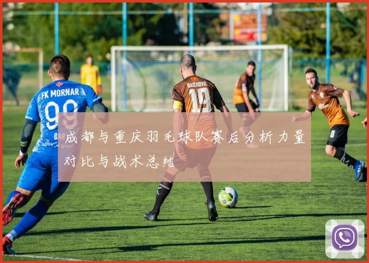 成都与重庆羽毛球队赛后分析力量对比与战术总结