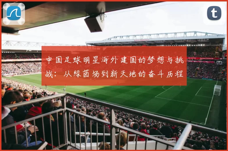 中国足球明星海外建国的梦想与挑战：从绿茵场到新天地的奋斗历程